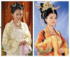 唐朝禁宫秘史在线观看,揭秘皇权背后的神秘面纱  第1张